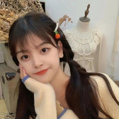 肥瑞的疯狂日记第一季