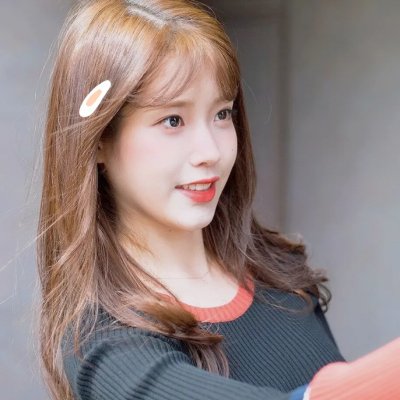 企鹅之岛：福克兰